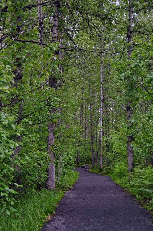 hiking trail